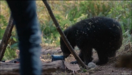 Penelope - Season 01 Episode 03